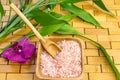 Spa, zen, massage concept. Pink himalayan bath salt with spoon, bamboo leaves, orchid, soap dish Royalty Free Stock Photo