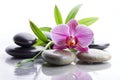 Spa Zen Stones and Orchid Flower Over White Royalty Free Stock Photo