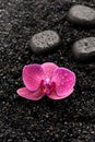 SPA. Zen stones and orchids Royalty Free Stock Photo