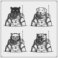 Space and astronaut emblems, labels and design elements. Panther, dog, wolf and bear in a space suit. Print design for t-shirt.