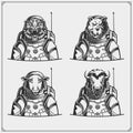 Space and astronaut emblems, labels and design elements. Tiger, ship, bison and pitbull in a space suit. Print design for t-shirt.