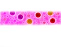 Space banner in pink tones.