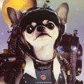 Space Chihuahua is a retrofuturistic portrait of a dog in an astro suit. The design features space graphics art