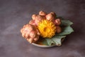 space copy empty background textured brown vegetables mediterranean tuberosus helianthus artichoke Jerusalem Royalty Free Stock Photo