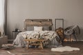 Copy space on empty grey wall of stylish bedroom interior with wooden accents and king size bed Royalty Free Stock Photo