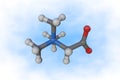 Space-filling molecular model of betaine. Atoms are represented as spheres with conventional color coding: carbon grey