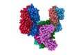 Space-filling molecular model of canakinumab, a monoclonal antibody neutralizing interleukin-1beta. Rendering with