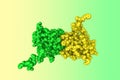 Space-filling molecular model of the Epstein-Barr virus gr42 protein. Rendering with differently colored protein chains