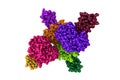 Molecular model of human mesotrypsin in a complex with bovine pancreatic trypsin inhibitor. Rendering with differently