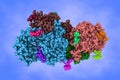 Space-filling molecular model of human prostatic acid phosphatase, biomarker of prostate cancer. 3d illustration