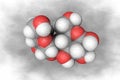 Space-filling molecular model of maltose. Atoms are represented as spheres with conventional color coding: carbon grey