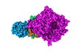 Space-filling molecular model of MERS-CoV complexed with human DPP4 on white background. Rendering with differently