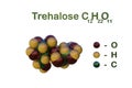 Space-filling molecular model of trehalose mycose or tremalose. 3d illustration
