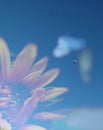 Space Flower double exposure garden sky botany nasa wallpaper desktop