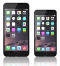 Space Gray iPhone 6 Plus and iPhone 6