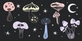 Space mushrooms set. Hand drawn line pastel colored mushroom collection. Cosmos, magic or forest doodle plants, fantastic