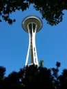 Space Needle framed by foliage Royalty Free Stock Photo