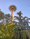 Space needle peeking out from the trees