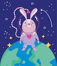 space rabbit on earth