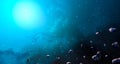 Space scene. Blue nebula with asteroids. Elements furnished by N