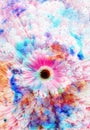 Space and stars with flower, color galaxi Royalty Free Stock Photo