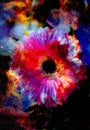 Space and stars with flower, color galaxi Royalty Free Stock Photo