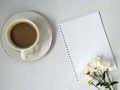 Template white flower on opened white book space for the text on white background Royalty Free Stock Photo