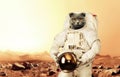 Spaceman cat walks on the red planet Mars. Space Mission. Astronaut travel in space. Royalty Free Stock Photo