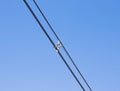 Spacer on electrical wires cable. Minimal Royalty Free Stock Photo