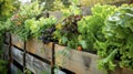 A spacesaving vertical vegetable garden for those with limited outdoor space. .