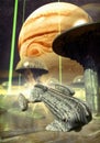 Spaceship and futuristic city Royalty Free Stock Photo