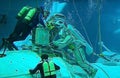 Spacewalk Training in the Hydrolab Pool