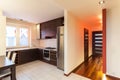 Spacious apartment - kitchen interior