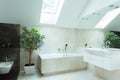 Spacious bathroom in neutral colours Royalty Free Stock Photo