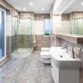 Spacious bathroom with shower Royalty Free Stock Photo