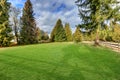 Spacious fenced backyard filled with green grass