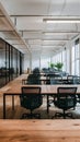 Spacious office with wooden desks, black mesh chairs, large windows, clean ambiance