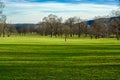 Spacious spring park with green lawn and sunny weather.