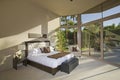 Spacious Sunlit Bedroom