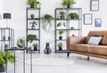 Spacious white living room with urban jungle on black metal shelf and whit brown leather couch Royalty Free Stock Photo