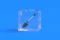 Spade in ice cube. Royalty Free Stock Photo