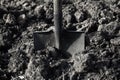 Spade stuck in dug ground Royalty Free Stock Photo