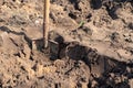 Spade stuck in the ground in a home garden. Garden cleaning works