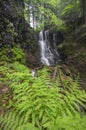 Spady waterfall at Polana mountains with brackens Royalty Free Stock Photo