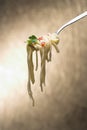 Spaghetti Royalty Free Stock Photo