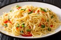 Spaghetti aglio e olio Italian for spaghetti with garlic and oil is a traditional pasta dish from Naples close-up in a plate. Royalty Free Stock Photo