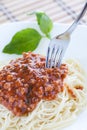 Spaghetti Alla Bolognese And Fork O White Plate Royalty Free Stock Photo