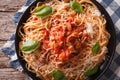 Spaghetti with Amatriciana Sauce close-up on a plate. horizontal Royalty Free Stock Photo