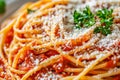 Spaghetti with Amatriciana sauce, grated cheese and greens. Traditional homemade pasta with salsa alla matriciana Royalty Free Stock Photo