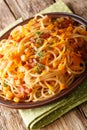 Spaghetti with bacon, corn and cheese  Mimolette close-up on a plate. vertical Royalty Free Stock Photo